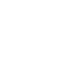 Dassault logo